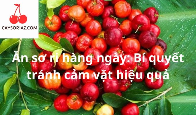 Ăn sơ ri hàng ngày: Bí quyết tránh cảm vặt hiệu quả