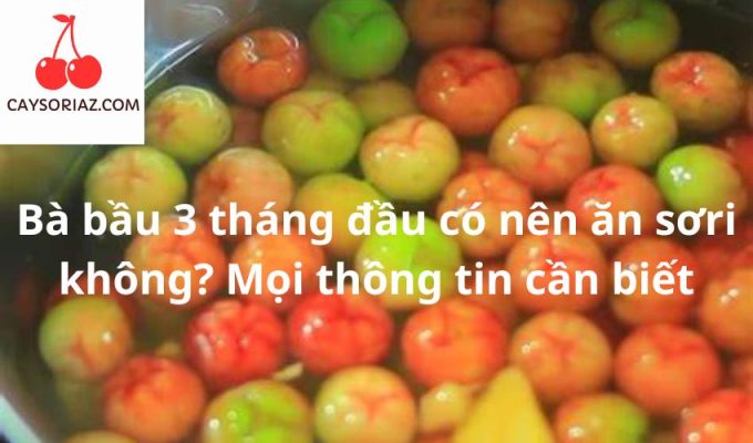 Bà bầu 3 tháng đầu có nên ăn sơri không? Mọi thông tin cần biết