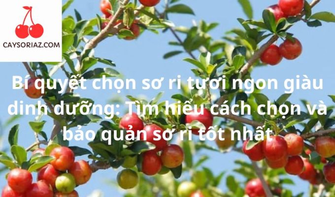 Bí quyết chọn sơ ri tươi ngon giàu dinh dưỡng: Tìm hiểu cách chọn và bảo quản sơ ri tốt nhất