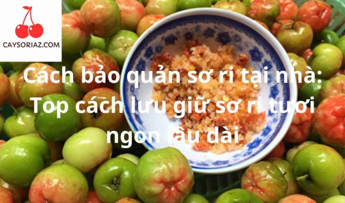 Cách bảo quản sơ ri tại nhà: Top cách lưu giữ sơ ri tươi ngon lâu dài