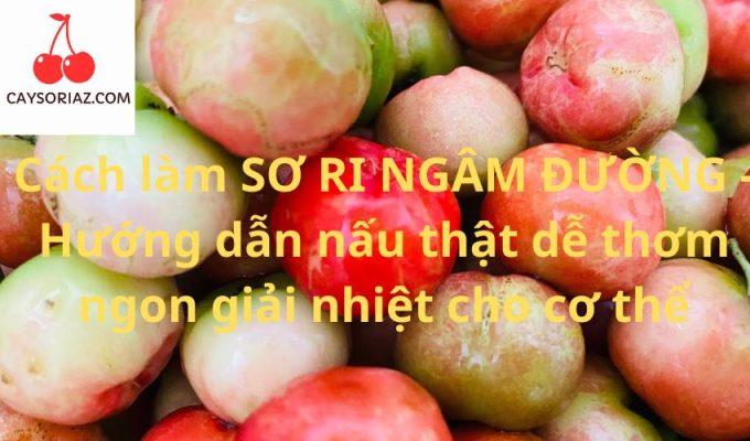 Cách làm SƠ RI NGÂM ĐƯỜNG - Hướng dẫn nấu thật dễ thơm ngon giải nhiệt cho cơ thể