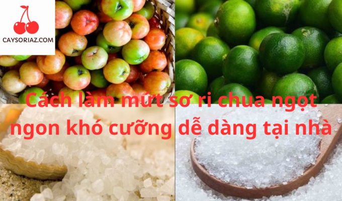 Cách làm mứt sơ ri chua ngọt ngon khó cưỡng dễ dàng tại nhà