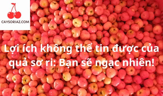 Lợi ích không thể tin được của quả sơ ri: Bạn sẽ ngạc nhiên!